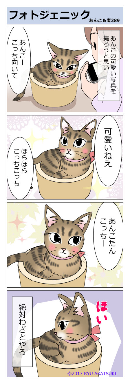 あんこ＆麦STORY389