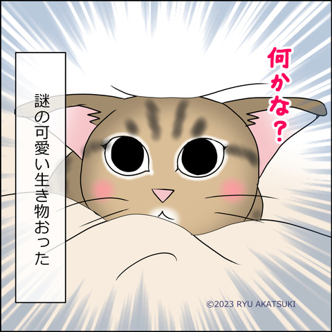 あんこ＆麦STORY1898d