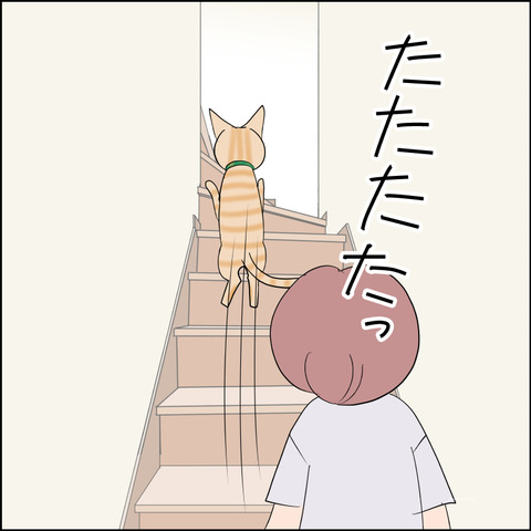 あんこ&麦STORY2333d