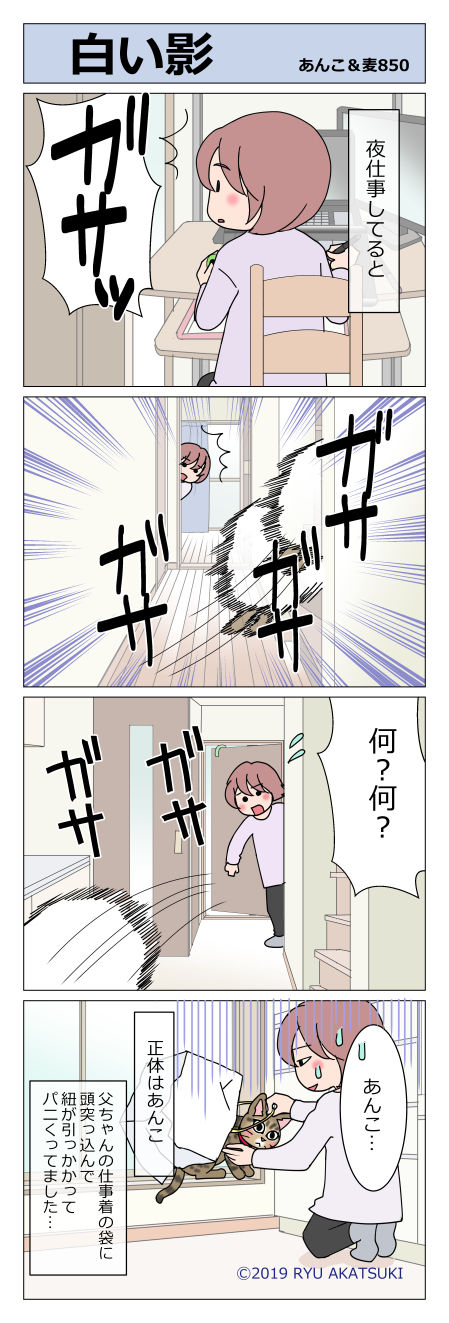 あんこ&麦STORY850