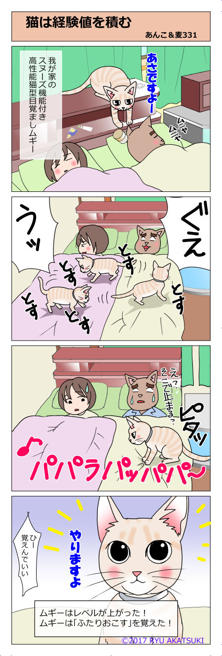あんこ&麦STORY331