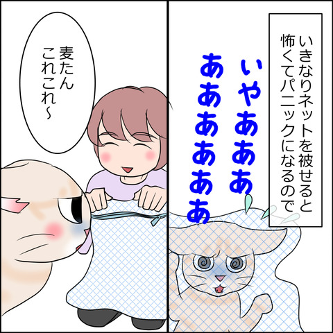 あんこ&麦kenko95b