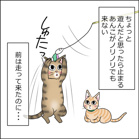 あんこ＆麦STORY1858b