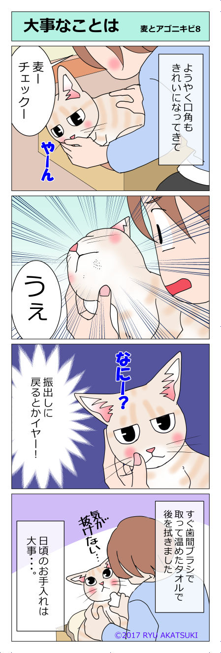 あんこ&麦kenko16