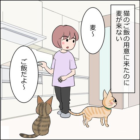 あんこ＆麦STORY2134a