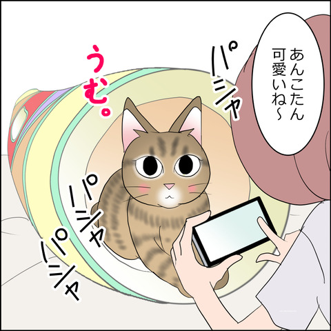 あんこ&麦STORY2329b