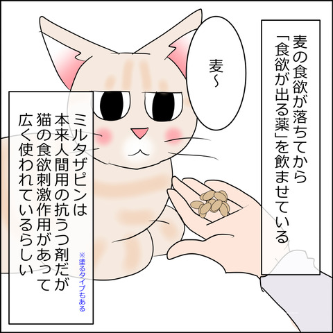 あんこ＆麦kenko136a