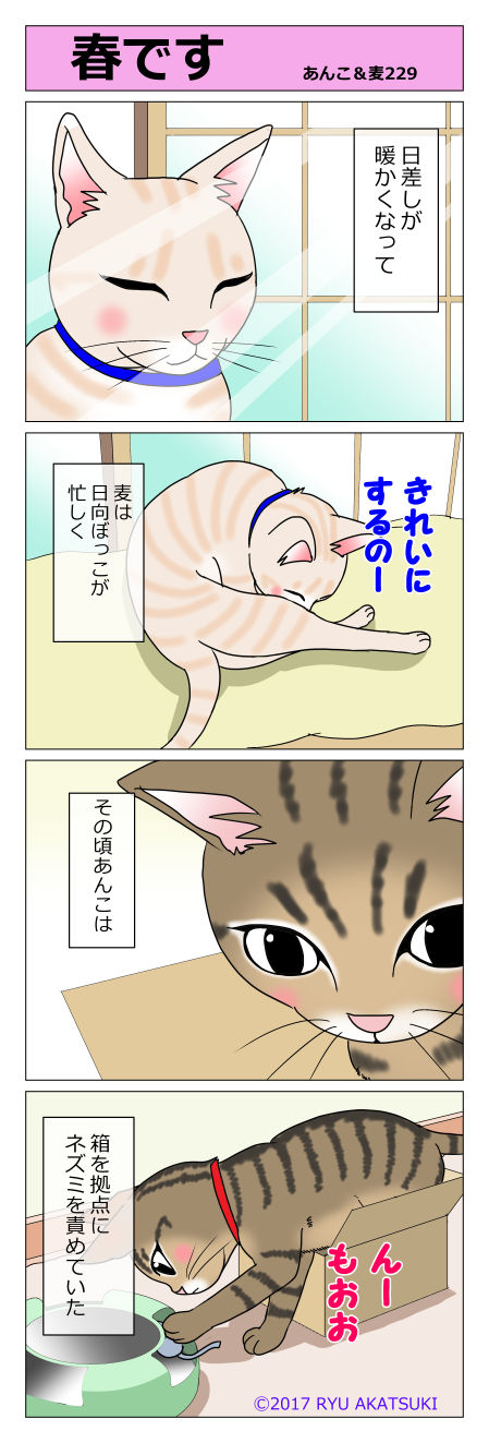 あんこ&麦STORY229