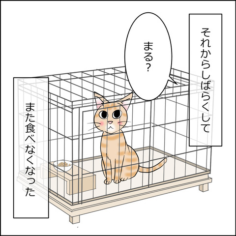 あんこ＆麦kenko151c
