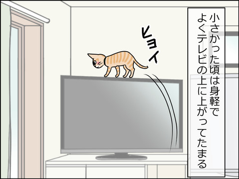 あんこ&麦STORY1483a