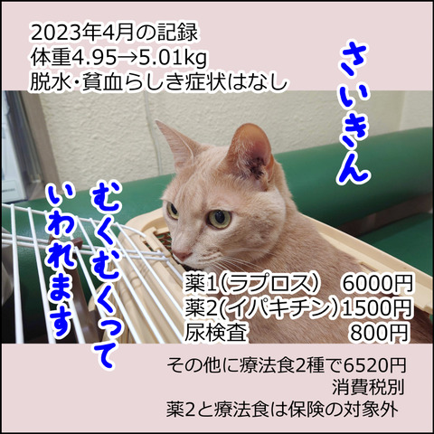 あんこ＆麦kenko78e