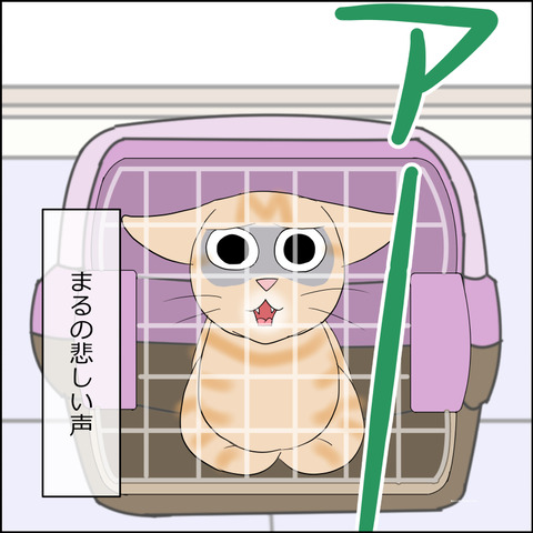 あんこ＆麦STORY2319b