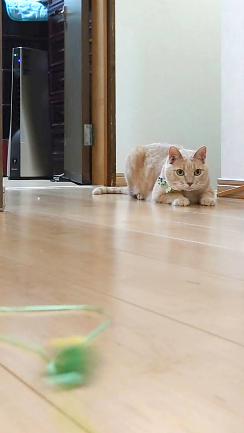 MOV_0833_000003