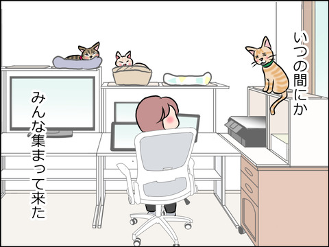 あんこ＆麦STORY1605c