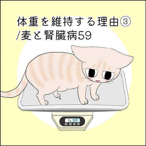 あんこ＆麦kenko125@