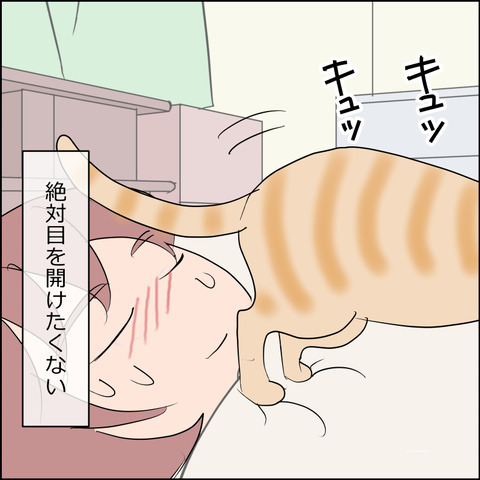 あんこ＆麦STORY2434d