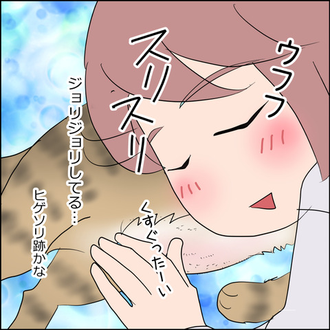 あんこ＆麦STORY2450d