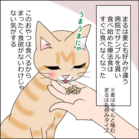 あんこ&麦kenko163b