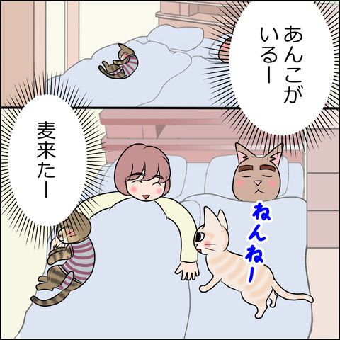 あんこ＆麦STORY1699b