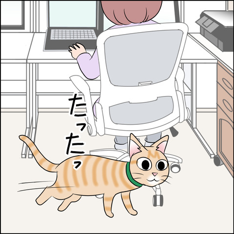 あんこ＆麦STORY1751b
