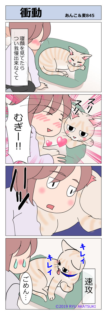 あんこ&麦STORY845