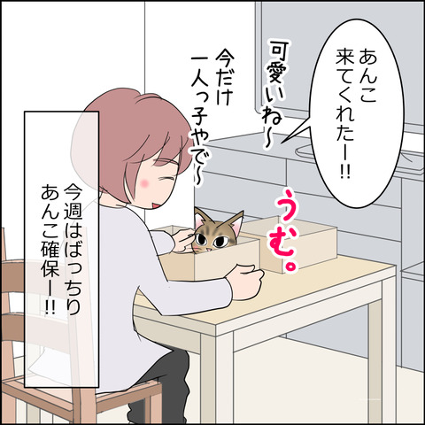 あんこ＆麦STORY2247e