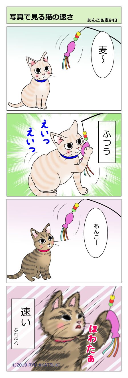 あんこ＆麦STORY943