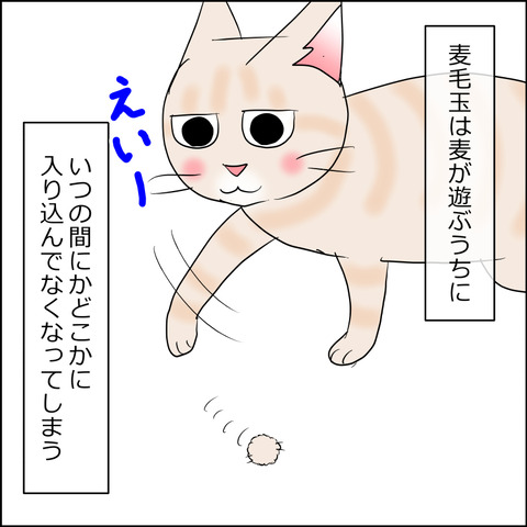 あんこ＆麦STORY2433b