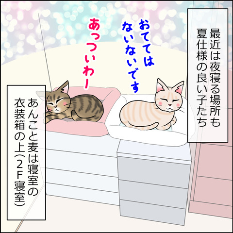 あんこ＆麦STORY1880a