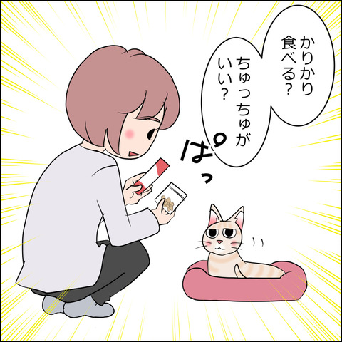 mugitabi012c