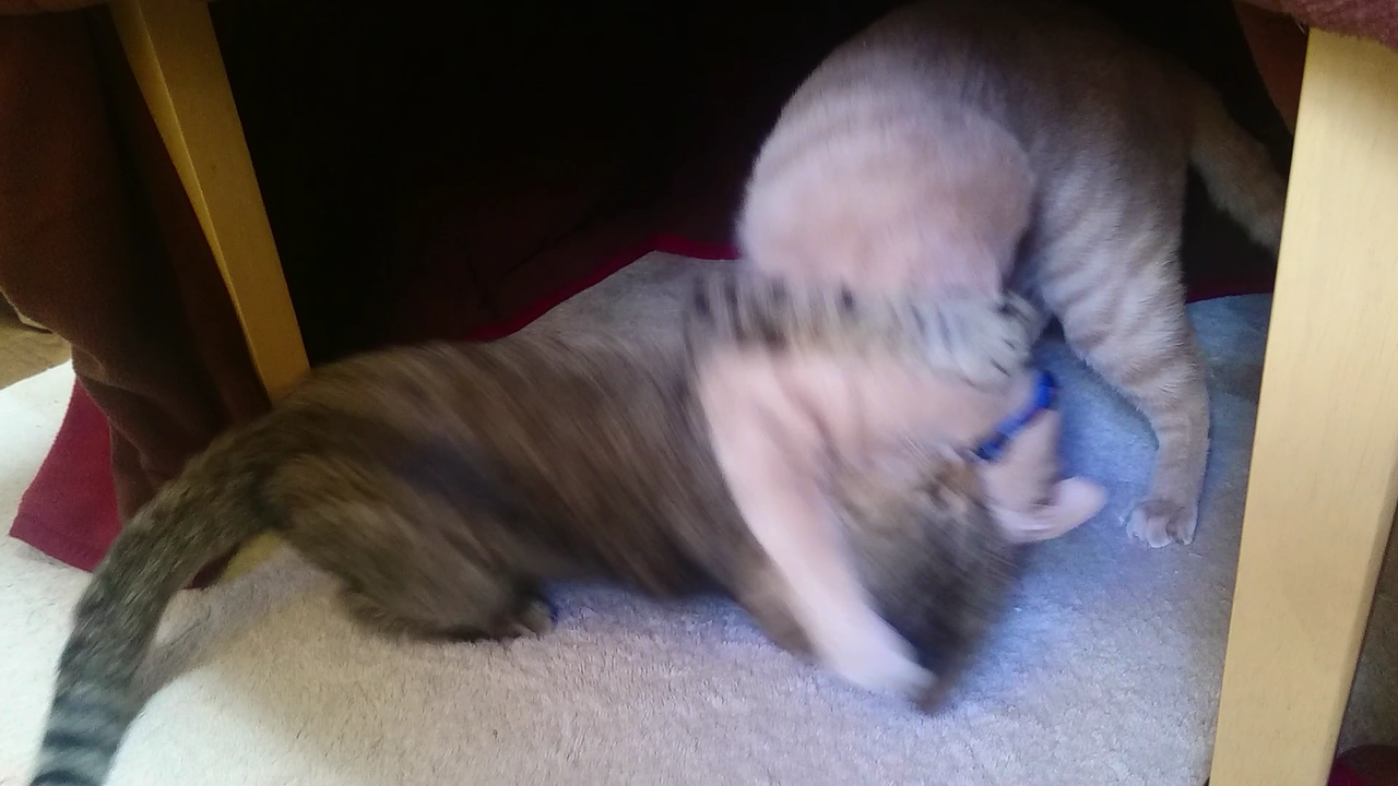 Screenshot_2017-01-06-14-47-09