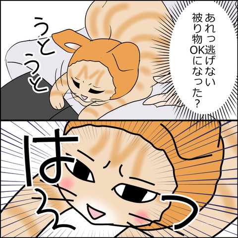 あんこ&麦STORY2499c