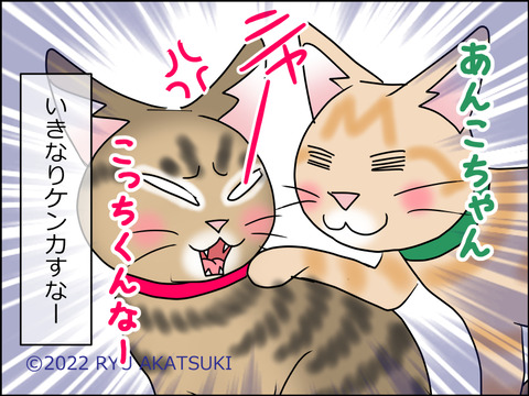 あんこ&麦STORY1516d