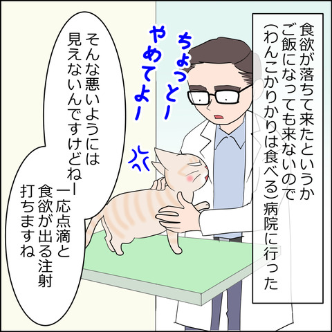 あんこ＆麦kenko109a