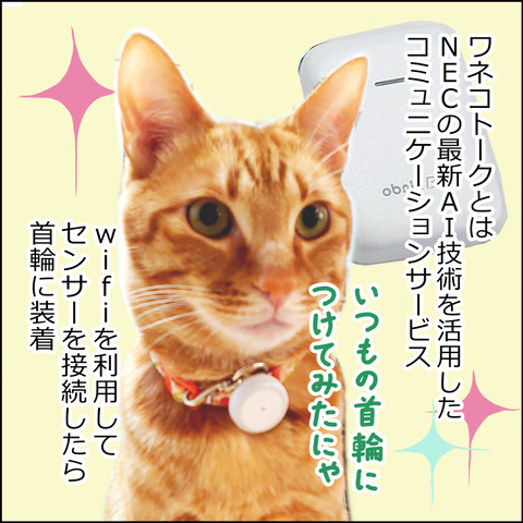 waneko001b
