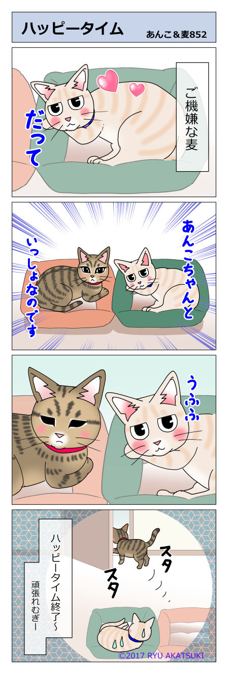 あんこ&麦STORY852