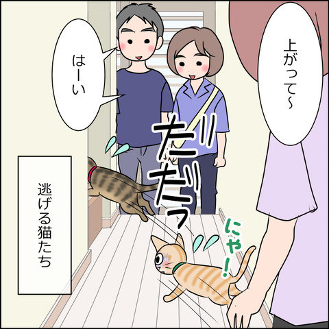 あんこ&麦STORY1640c