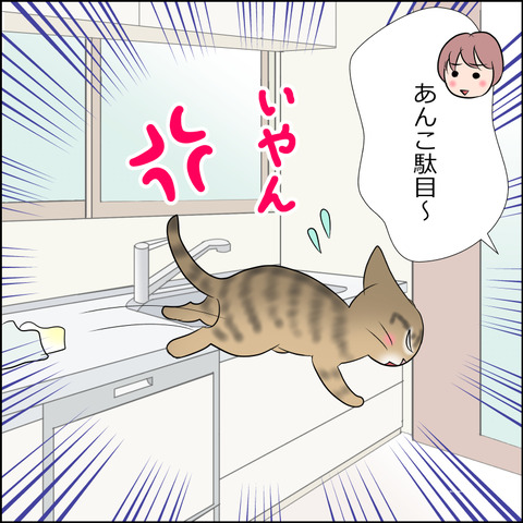 あんこ＆麦STORY2163d