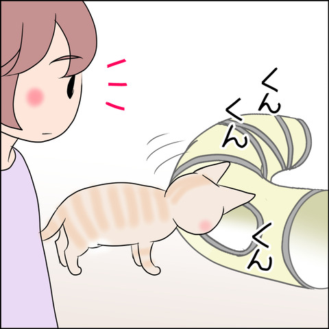 あんこ＆麦STORY1682b