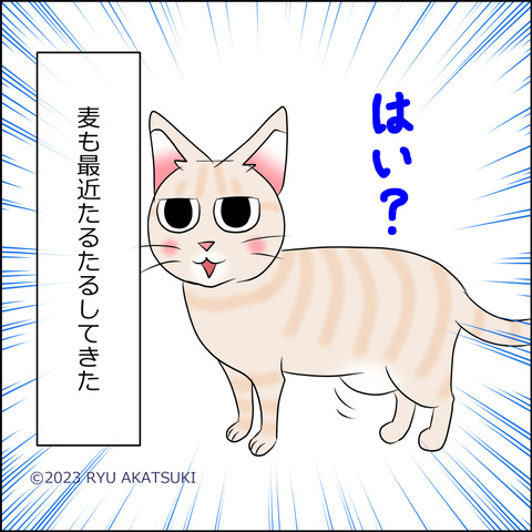 あんこ＆麦STORY2022d