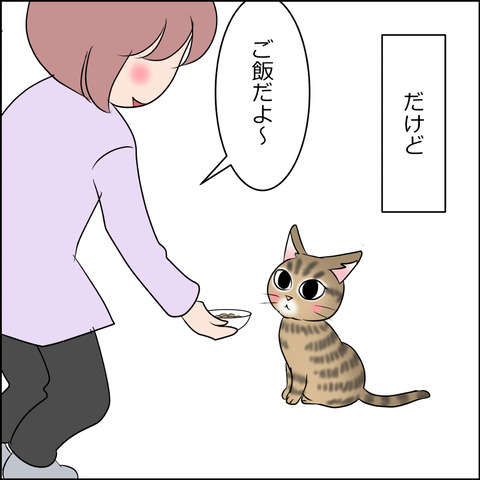 nekokita014c