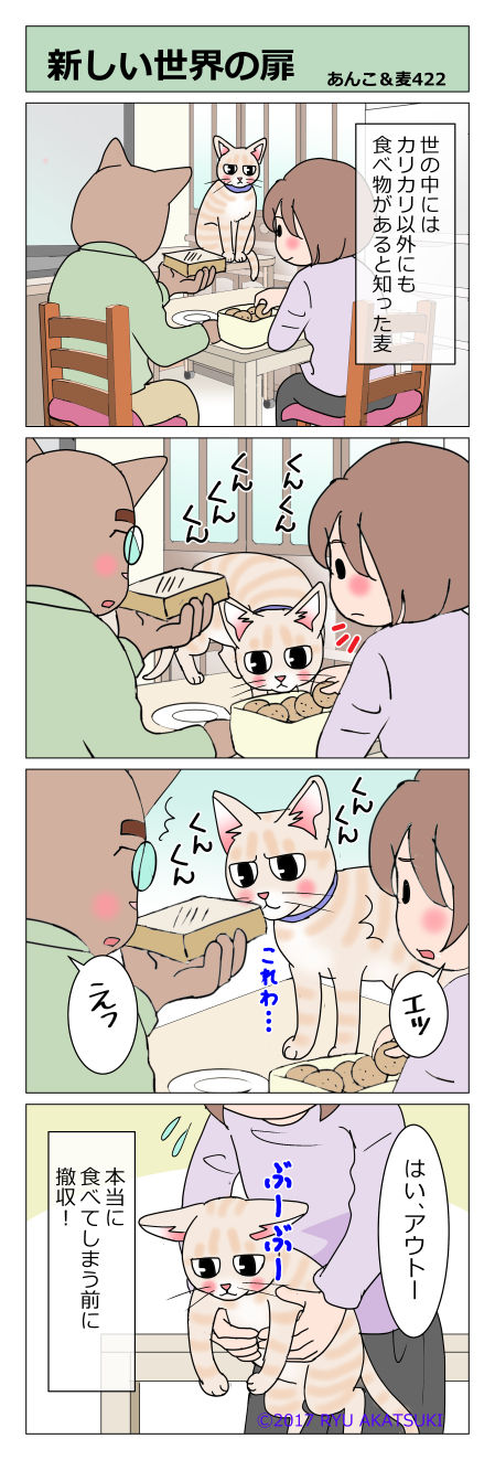 あんこ&麦STORY422