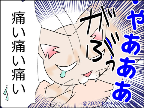 あんこ&麦STORY1522d