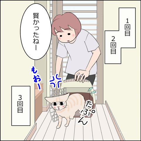 あんこ＆麦kenko126b