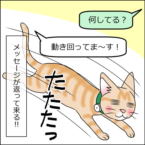 waneko001d