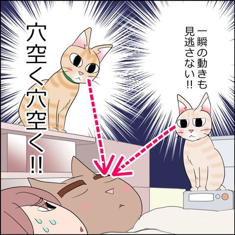 あんこ＆麦STORY2278e