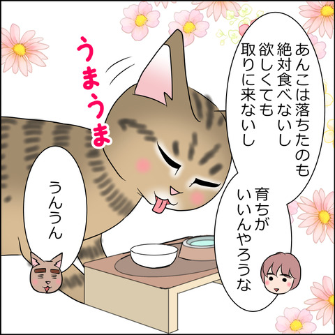 あんこ＆麦STORY2031d