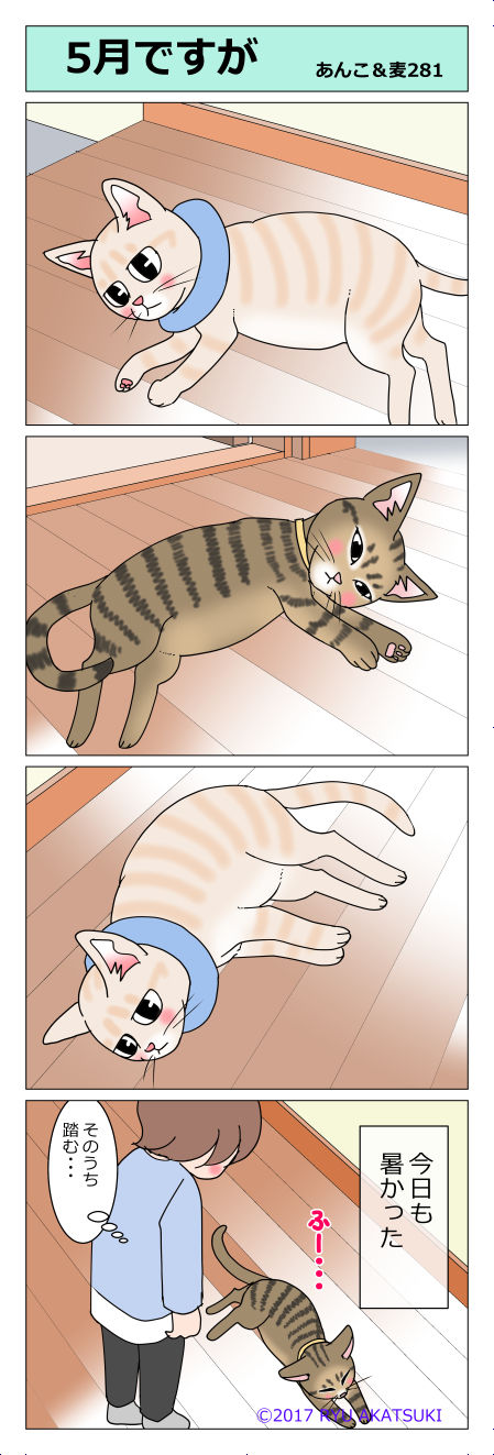 あんこ&麦STORY281
