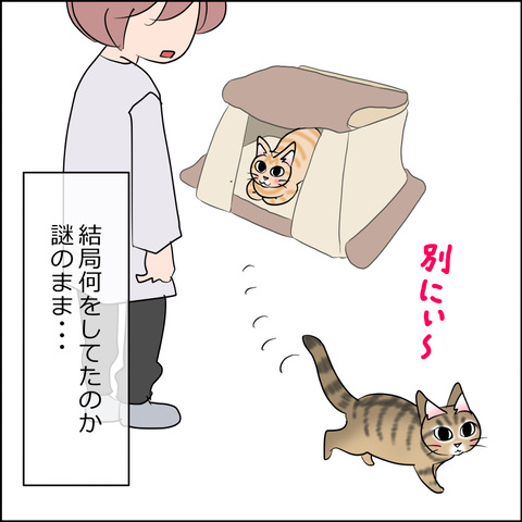 あんこ&麦STORY2419d