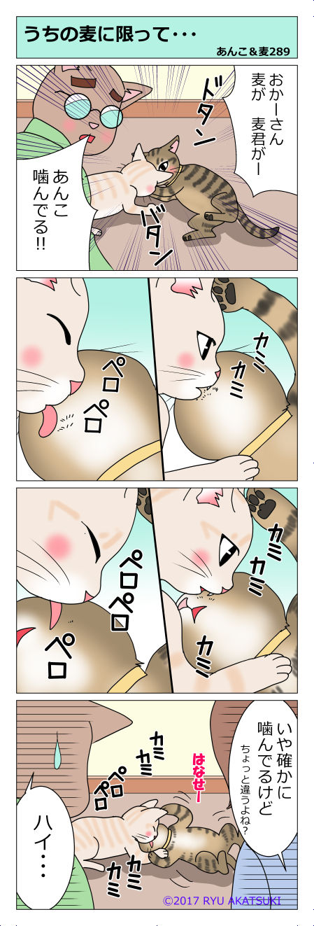 あんこ&麦STORY289